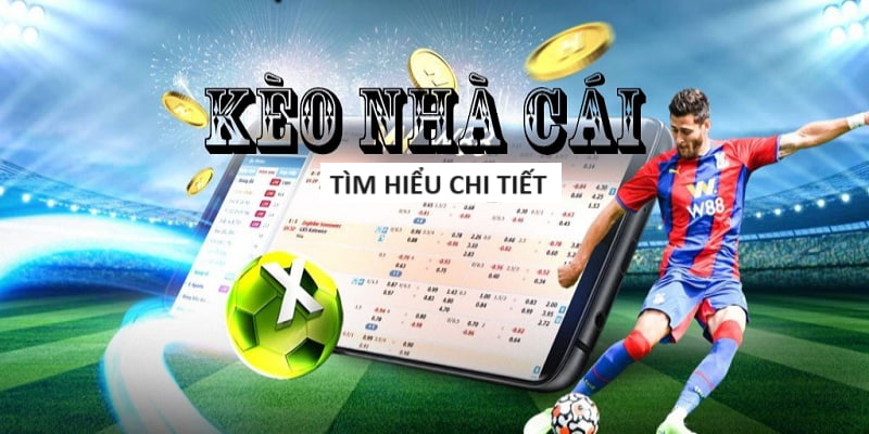 TYPHU88-Xem trận đấu ngay tại nhà - Trực tiếp bóng đá! TYPHU88-Xem trận đấu ngay tại nhà - Trực tiếp bóng đá!