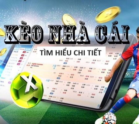 trang cá cược bóng đá hull city afc V8club