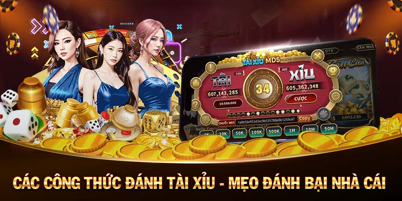 Bitslot Luật chơi Baccarat Bitslot Luật chơi Baccarat